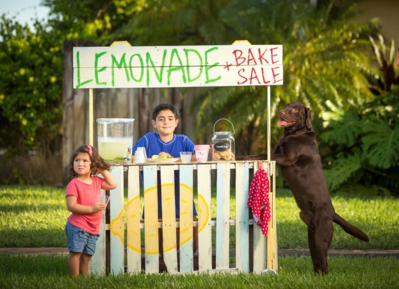 lemonadestand